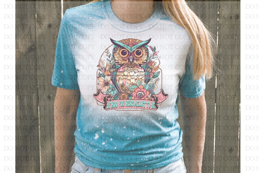 Be Hoo You Are T-Shirt